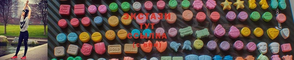 индика Мегион