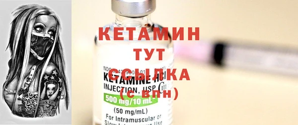 индика Мегион