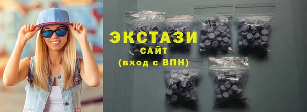 индика Мегион