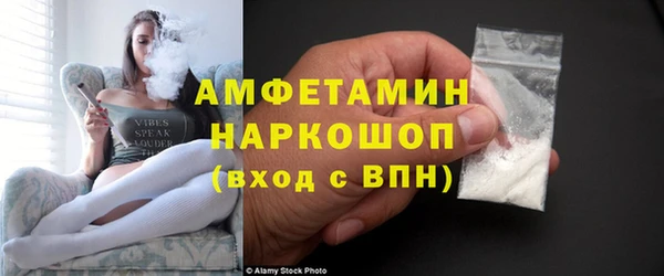 индика Мегион