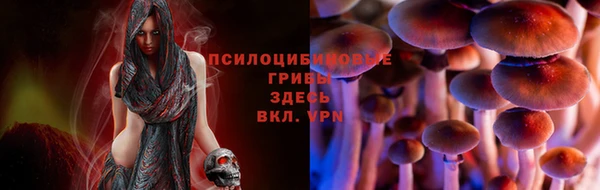 дмт Медвежьегорск