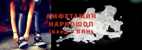 индика Мегион