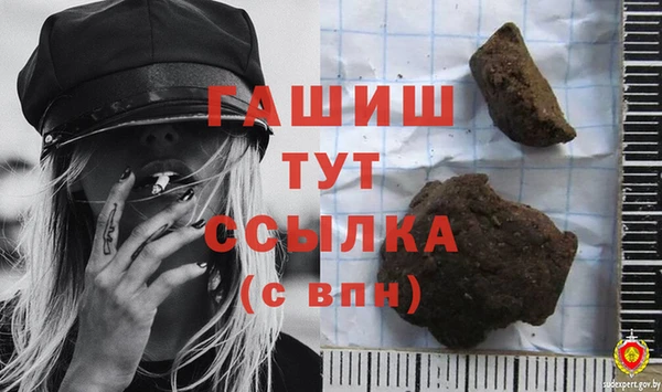 индика Мегион