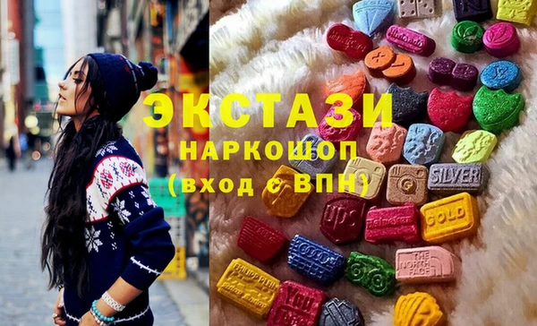индика Мегион