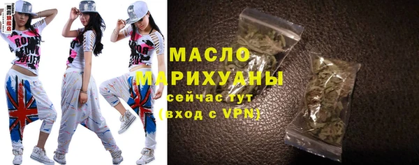 индика Мегион