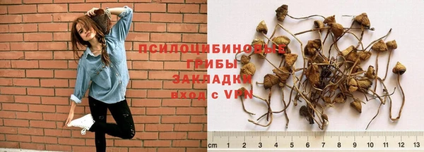 индика Мегион