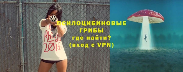 дмт Медвежьегорск