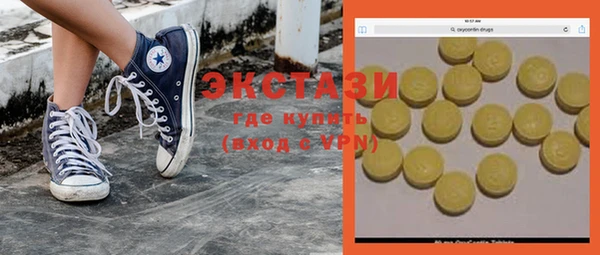 индика Мегион