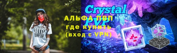 индика Мегион