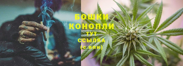 индика Мегион